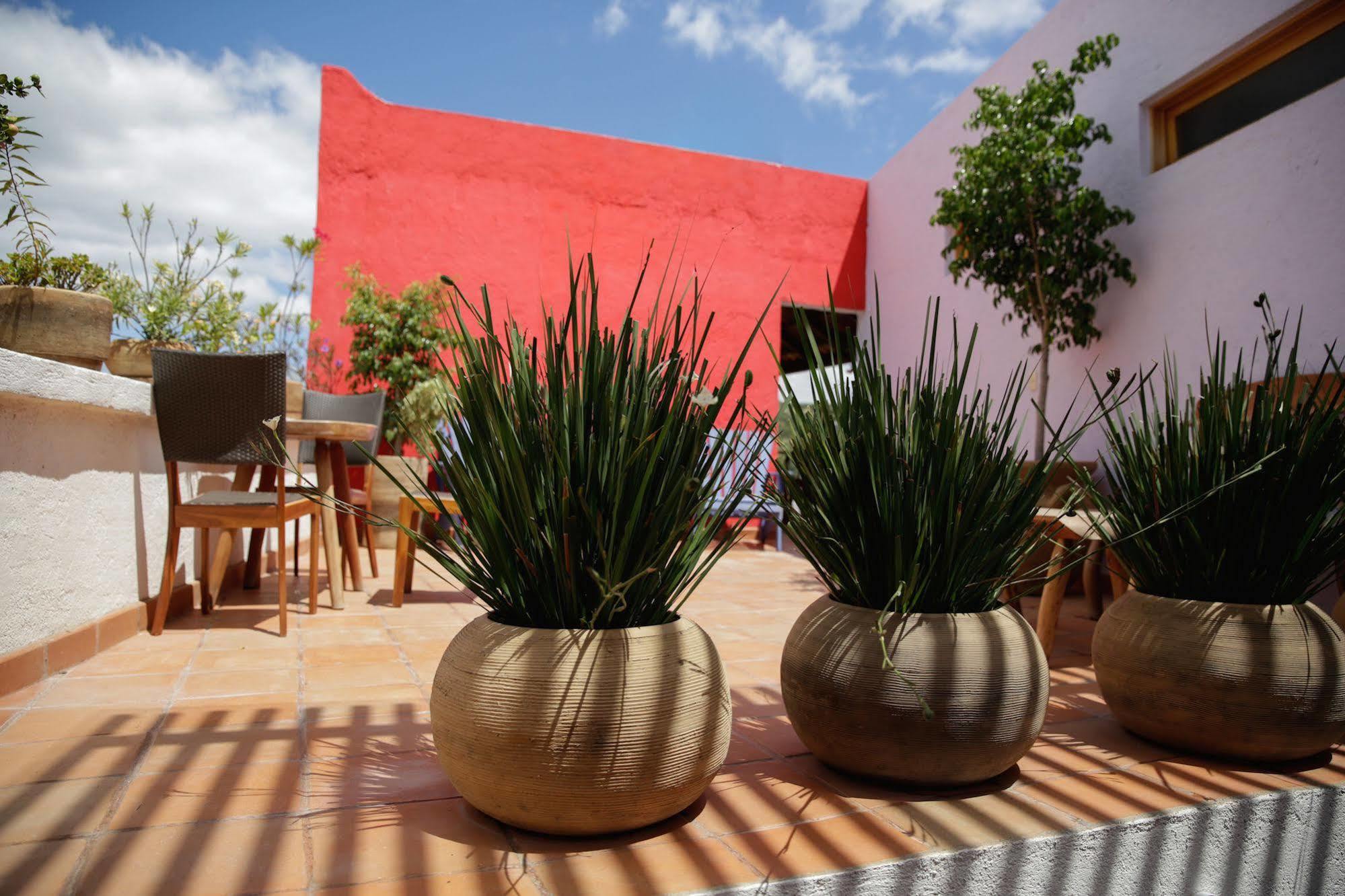 Casa Tsaya Hotel Boutique Bernal Exterior foto